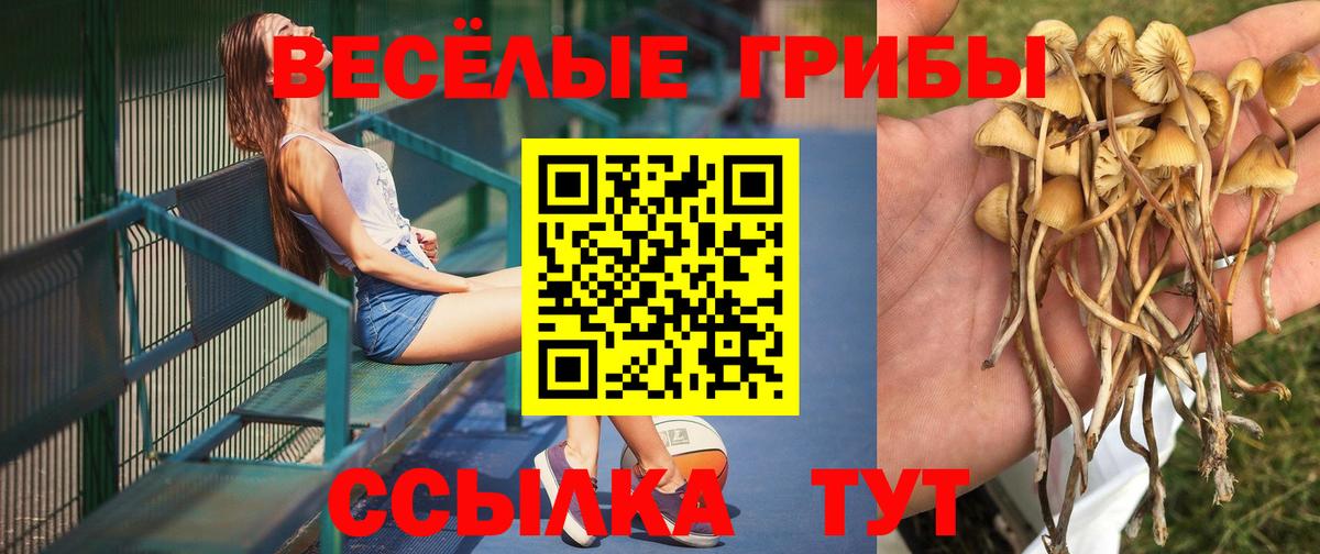 Галлюциногенные грибы ЛСД  Вход с VPN  Дедовск 