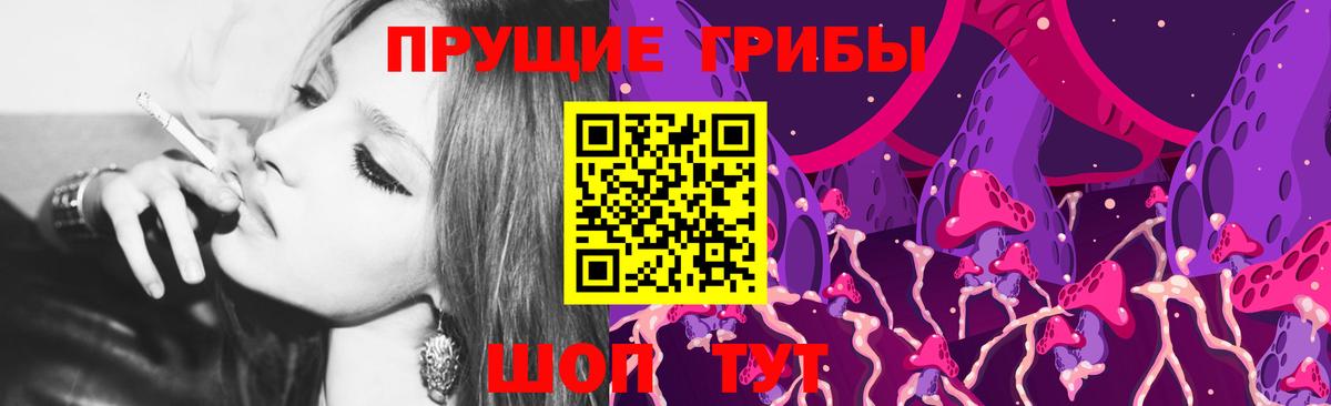 Галлюциногенные грибы Psilocybine cubensis Дедовск