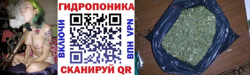 дарнет шоп  mega сайт  Бошки марихуана LSD WEED  Дедовск 
